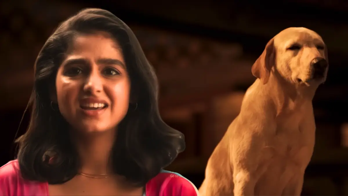 Lucky the Superstar Review